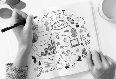 How to Train Your Money Tree to Grow a Braided Trunk