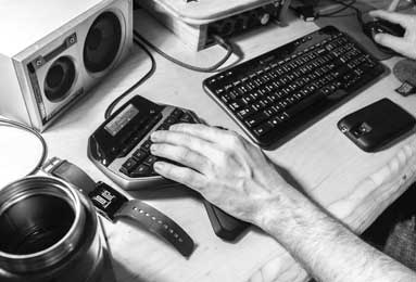 How to Train Your Money Tree to Grow a Braided Trunk