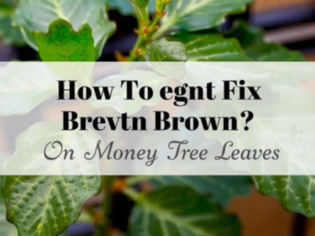How to Fix Brown Edges on Money Tree Leaves